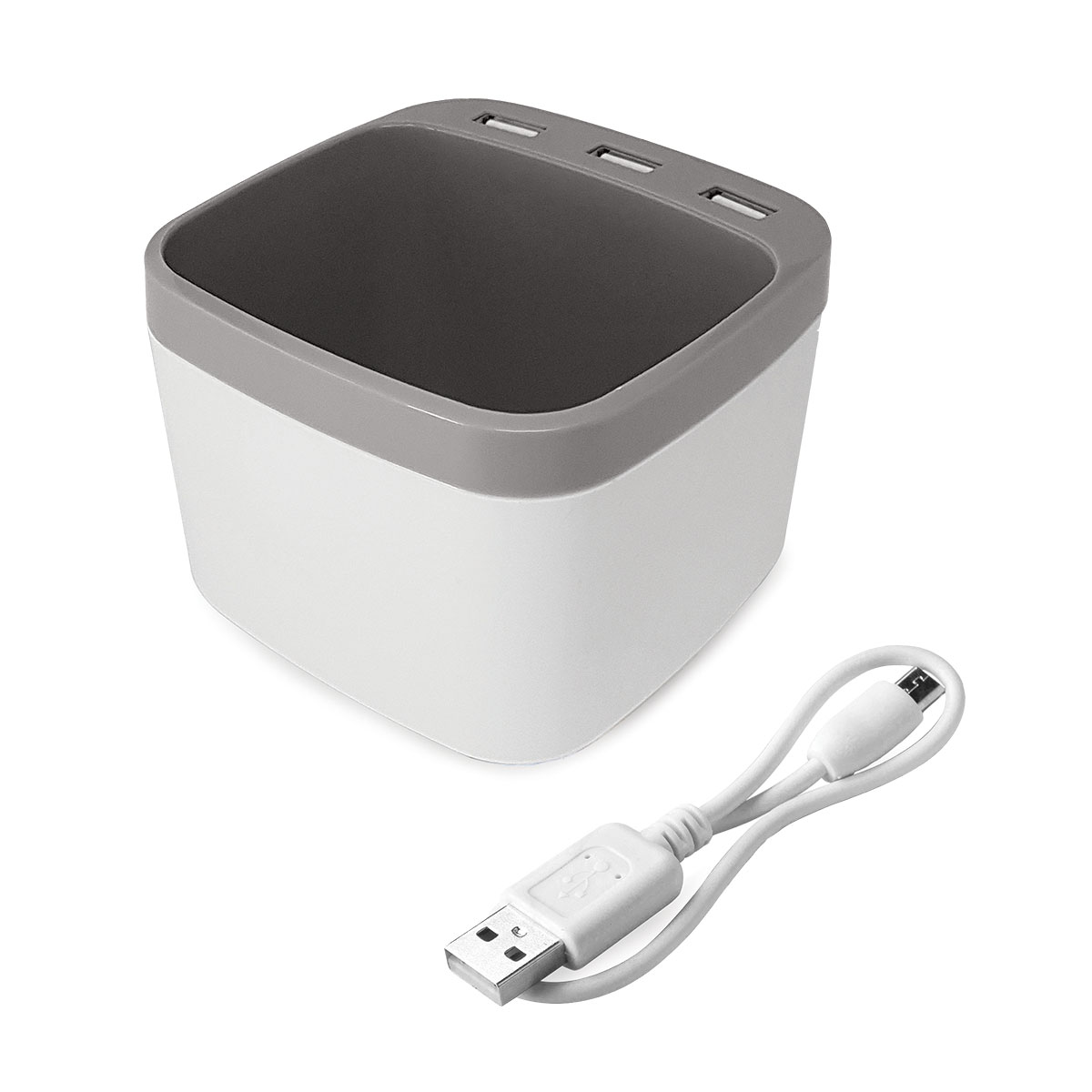 Giga Usb Hub & Pen Holder