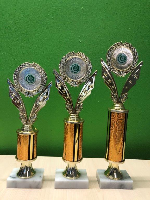 C4 Large Column 31cm