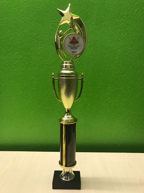 Reaching for the Stars 90B - 43cm