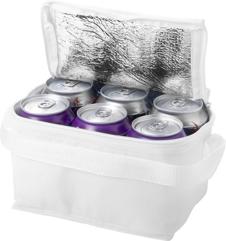 Spectrum 6-can cooler bag 4L
