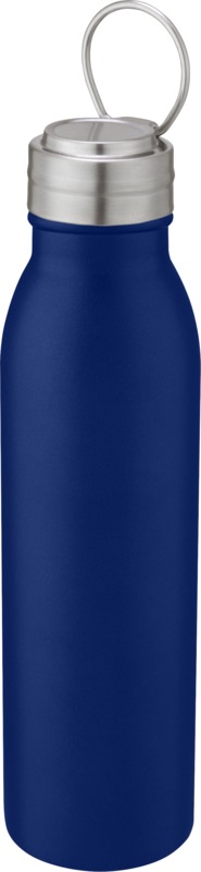 Harper 700 ml stainless steel water bottle with metal loop