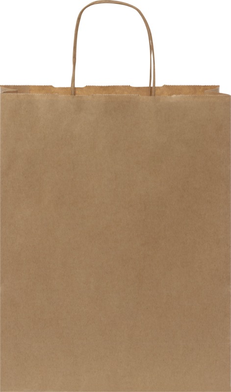 Kraft 80 g/m2 paper bag with twisted handles - 25 x 11 x 32 cm - Image 9