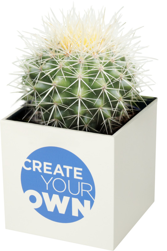 Hey Pots aluminium planted pot - cactus - Image 4