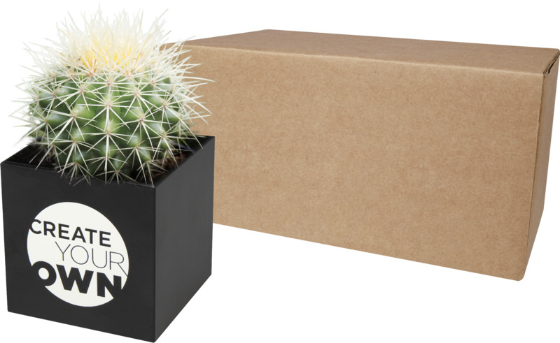 Hey Pots aluminium planted pot - cactus - Image 6