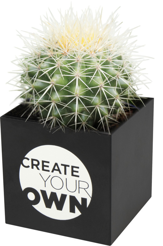 Hey Pots aluminium planted pot - cactus - Image 9