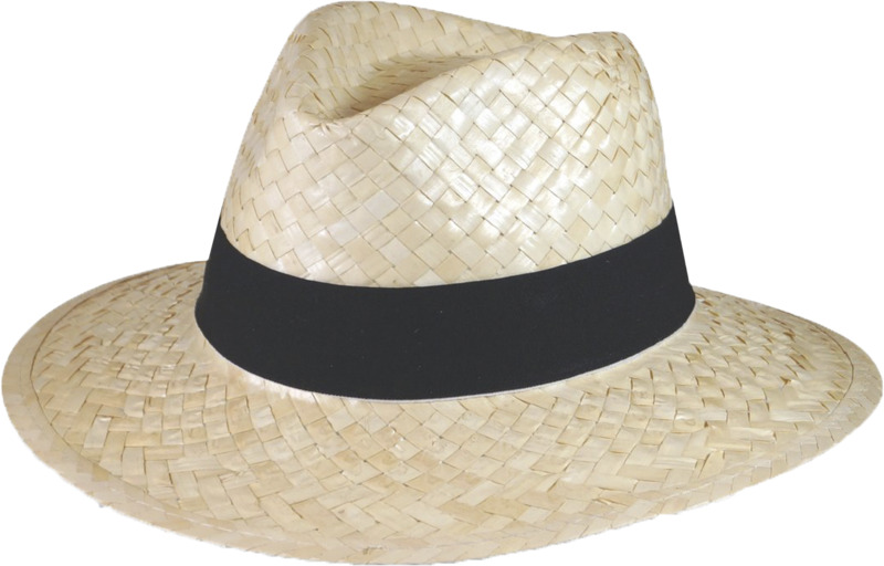 Citizen Green Clyde panama hat 