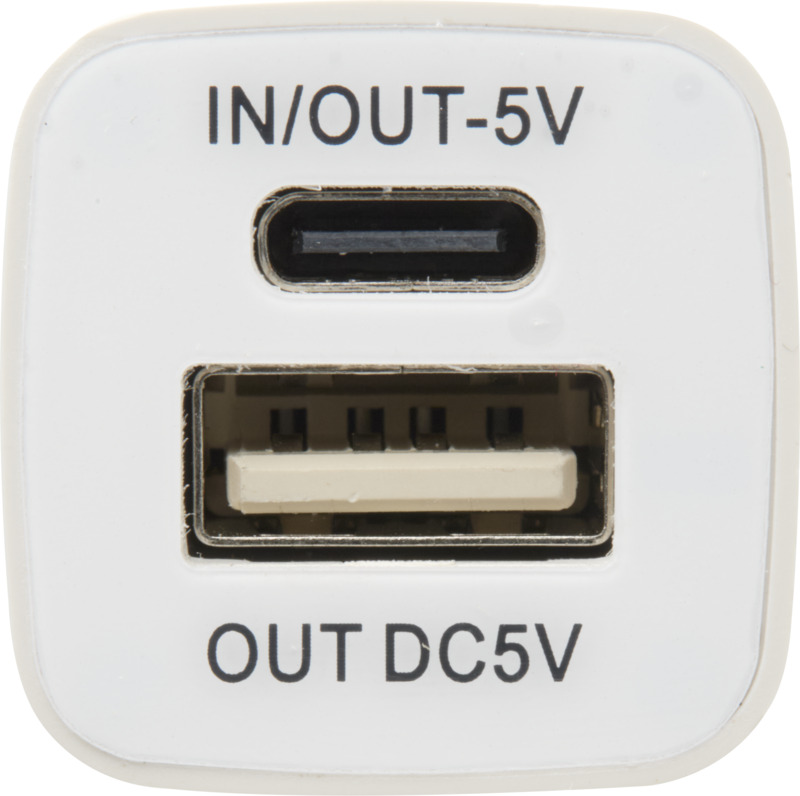 WS102 2200/2600 mAh power bank - Image 5