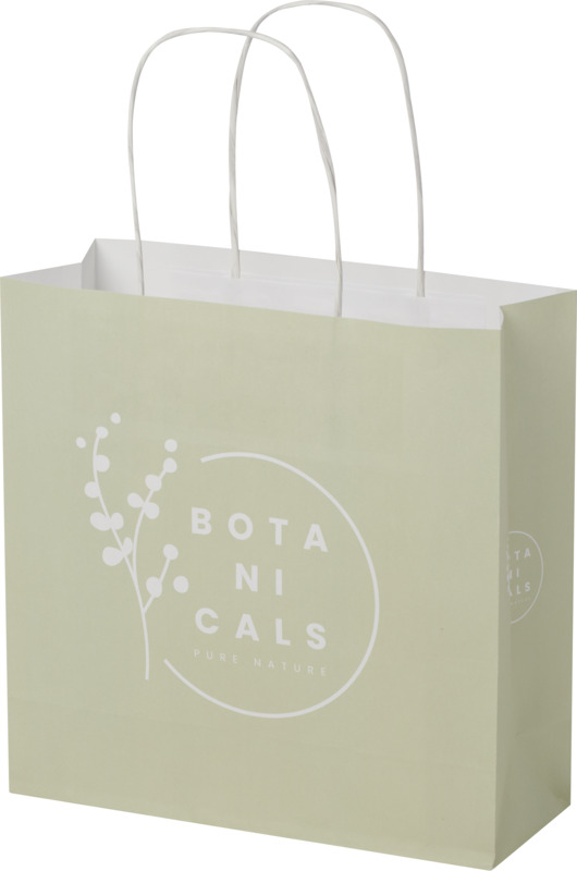 Kraft 120 g/m2 paper bag with twisted handles - 24 x 9 x 24 cm