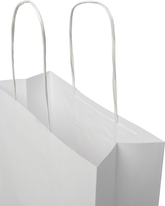 Kraft 120 g/m2 paper bag with twisted handles - 24 x 9 x 32 cm - Image 6