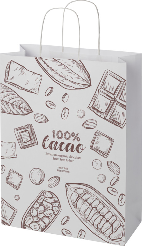 Kraft 120 g/m2 paper bag with twisted handles - 31 x 12 x 41 cm