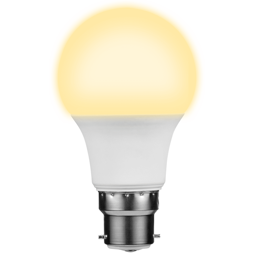 Switched 5w A60 Light Bulb B22 - Image 18