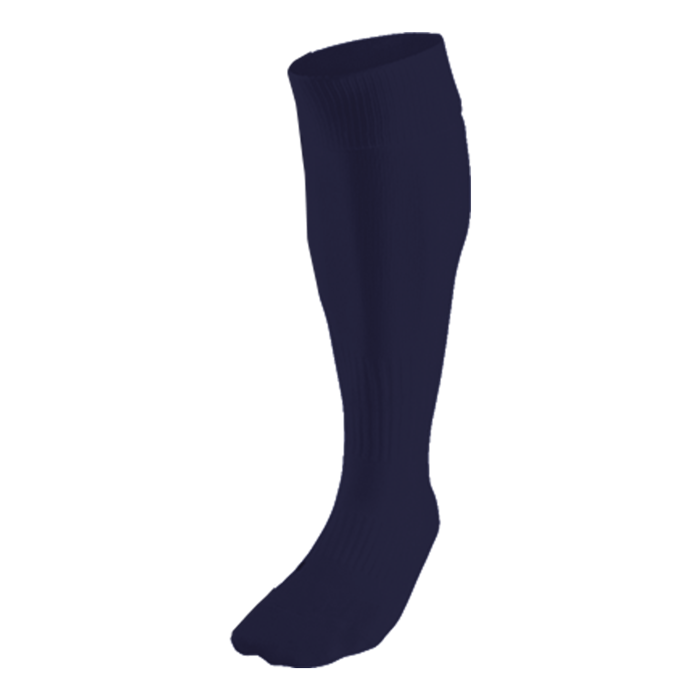 BRT Team Sock - Image 3