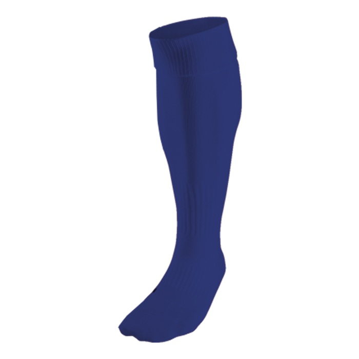 BRT Team Sock - Image 2