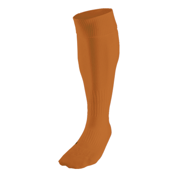 BRT Team Sock - Image 6