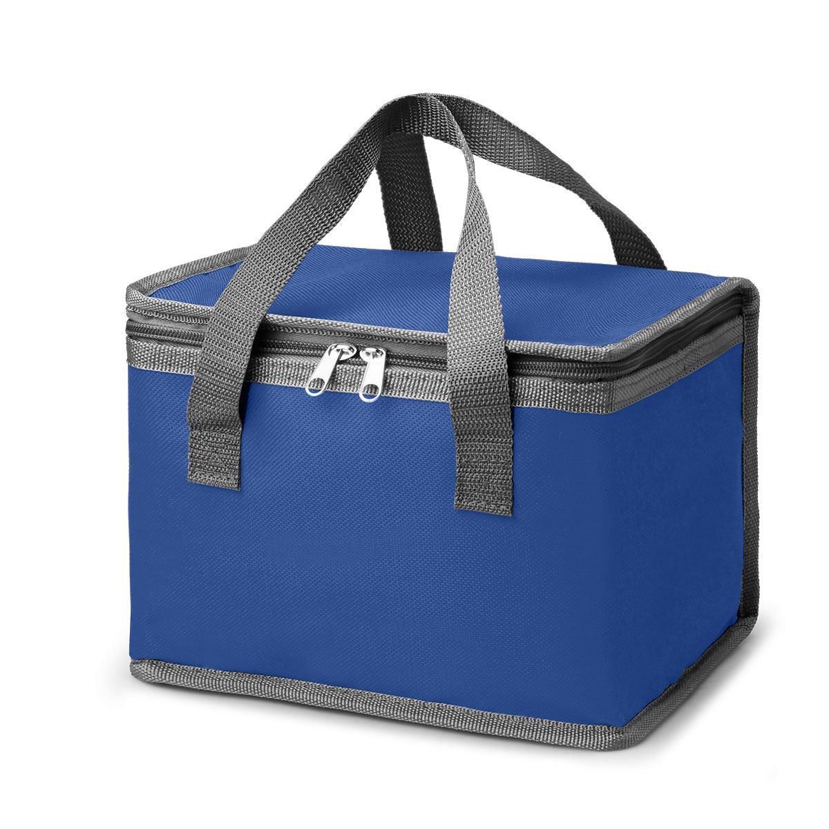 Colony 6 Can Cooler - Image 2