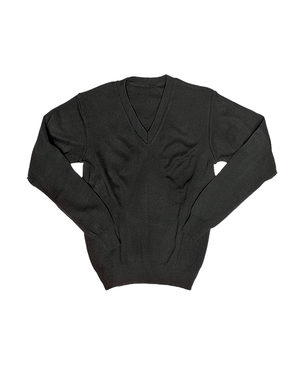 Long Sleeve V Neck Jersey