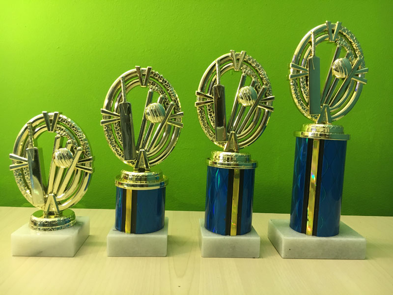 Cricket Theme 03 19cm