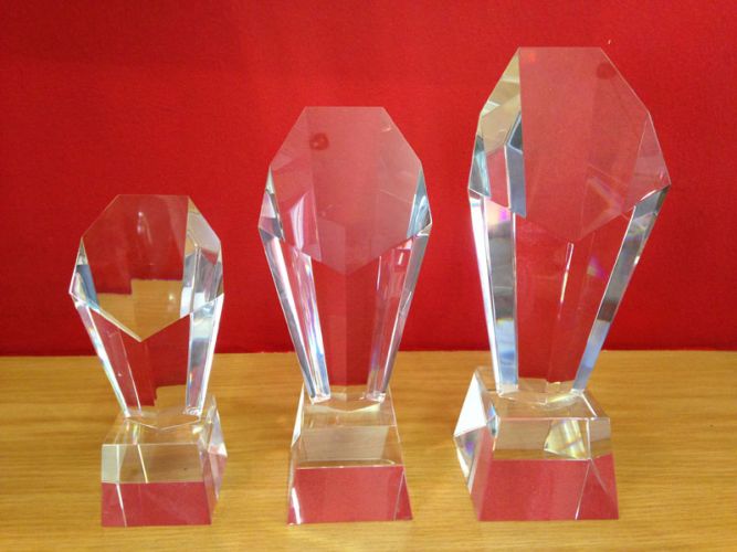 Discovery Award 21.5cm