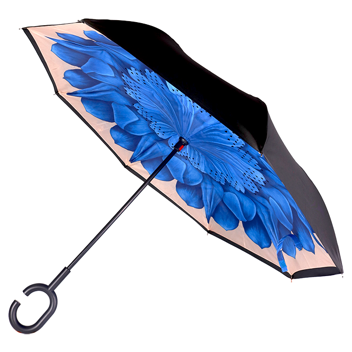 Printed Reversible Umbrella