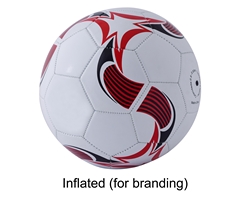 Striker Size 5 Soccer Ball - Inflated